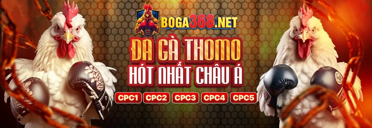 Đá gà trực tuyến kịch tính tại Xoso66